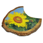 תחתיות לסירים מעץ מלא